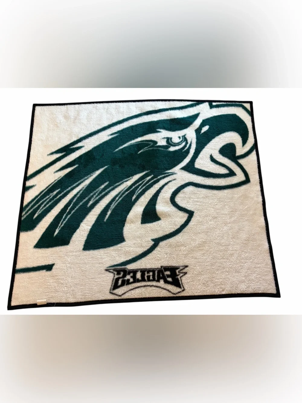 Biederlack NFL Philadelphia Eagles Throw Blanket 49